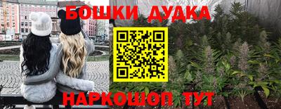 скорость Дубна