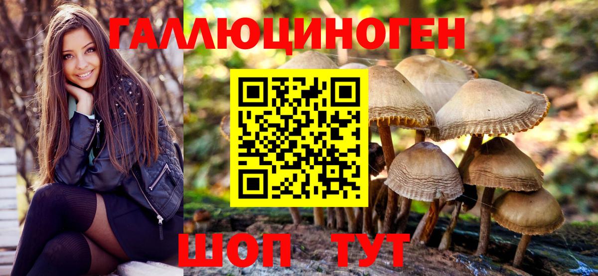 Можга  Галлюциногенные грибы Psilocybe  Псилоцибиновые грибы мухоморы  Вход с VPN 