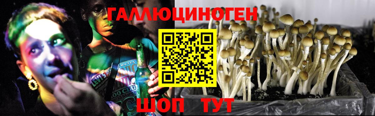 Псилоцибиновые грибы мухоморы Можга